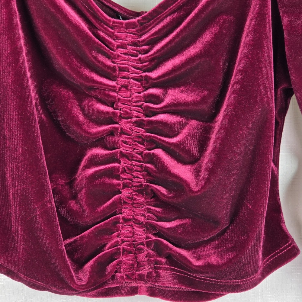 Mixed Threads LA Velvet Crop Top Women's M Burgundy Whimsigoth Vamp Witchy Y2K - Picture 4 of 7